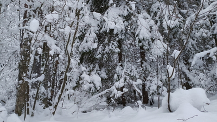 Кому грозит гипотермия: Аномальные холода опасны для жителей Москвы
