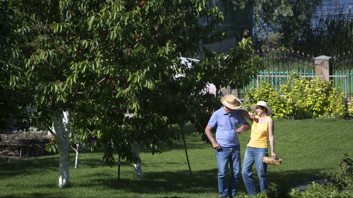 Выходные в июне 2022: как и когда будут отдыхать русские в первый летний месяц