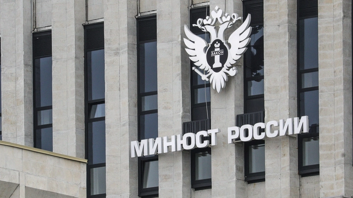 Минюст пополнил реестр иноагентов актрисой Мысиной* и экономистом Мовчаном*