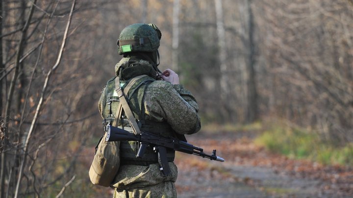 Отбитая попытка: Украинские диверсанты не смогли прорваться в Брянскую область