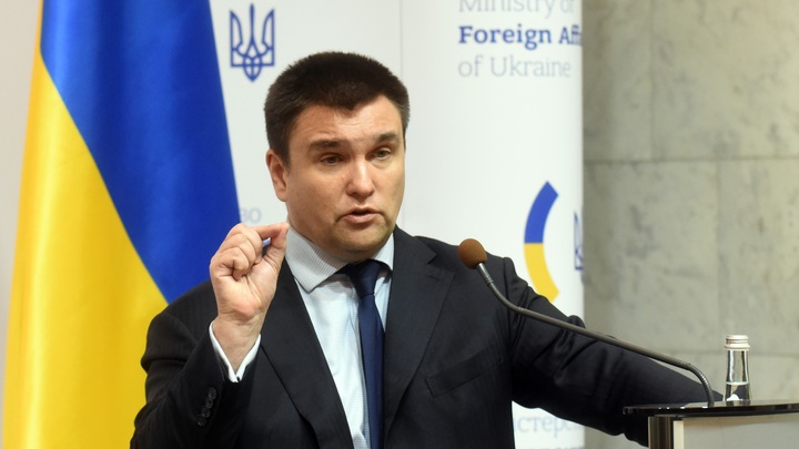 Экс-глава МИД Украины призвал взять немцев за шиворот и выбить из них компенсацию