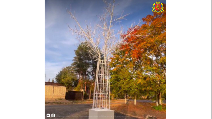 В Киржаче для благоустройства площади купцов Соловьёвых установили световое дерево за решеткой