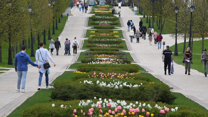 Аукцион за право кормить людей в Царицыно: Сбор заявок закончится в феврале