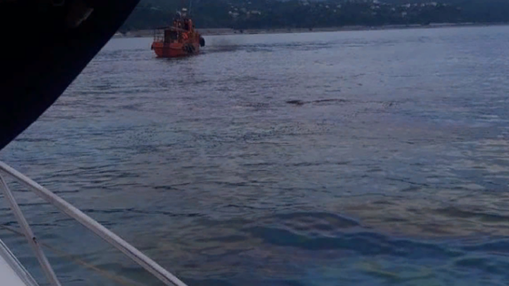 В море возле Туапсе вновь обнаружили масляное пятно