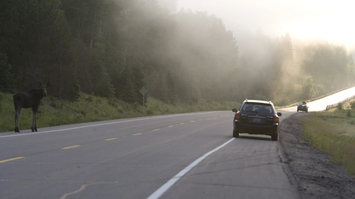 Ни одна подушка безопасности не раскрылась. Популярные китайцы не оправдывают свою цену