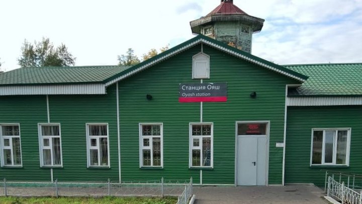 В Новосибирской области 63-летняя женщина выжила после попадания под грузовой поезд