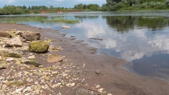 Повторная проверка не подтвердила загрязнение воды в Клязьме