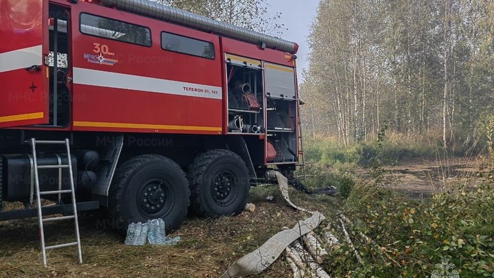 Во Владимирской области запретили вход в леса