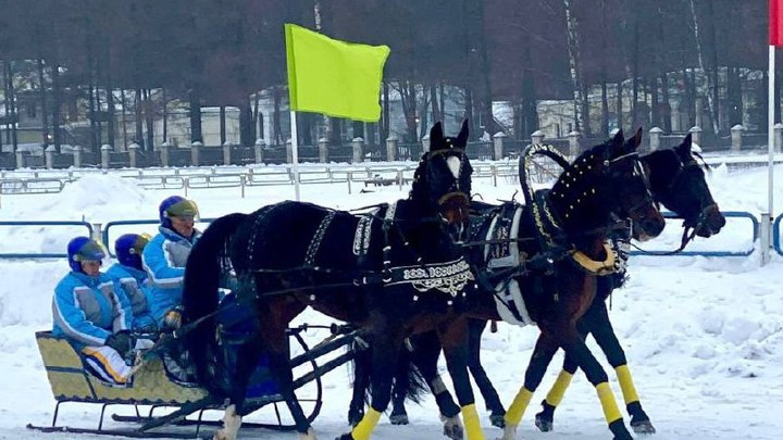 На Чемпионате Русских троек серебро взял владимирский ездок