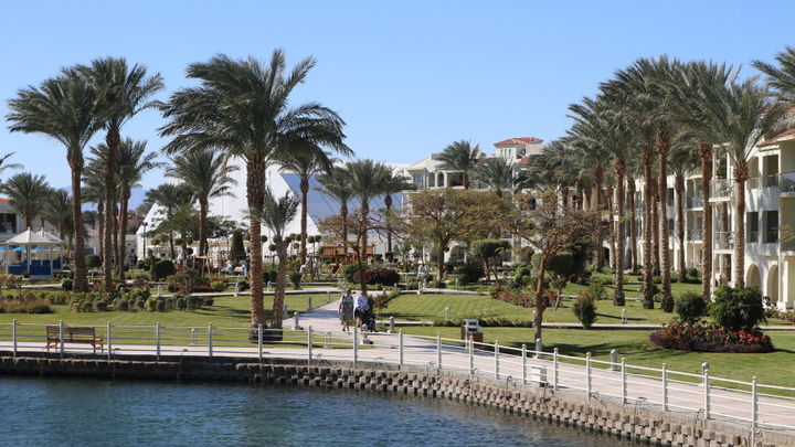 Турция создаёт авиакомпанию для перевозки русских на курорты