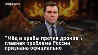 Мёд и крабы против дронов: главная проблема России признана официально