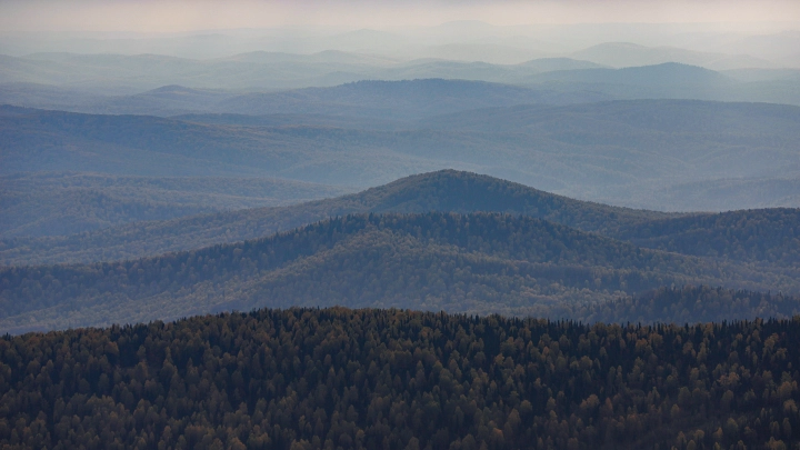 Усольцевых могут посадить. Если найдут