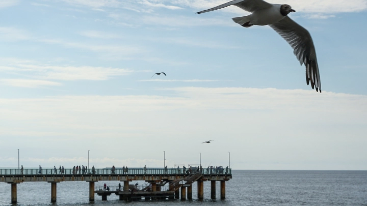 Мало ли что Зеленский сказал: Президент Польши не стал слушать. Балтийское море не закроют