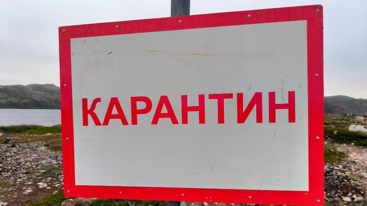 Режим ЧС и жёсткий карантин: Под Воронежем обнаружена сибирская язва