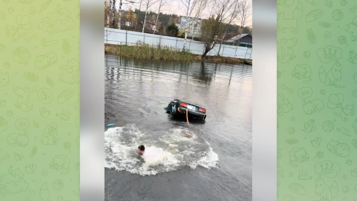 Житель Ногинска распилил и утопил в пруду машину ради челленджа