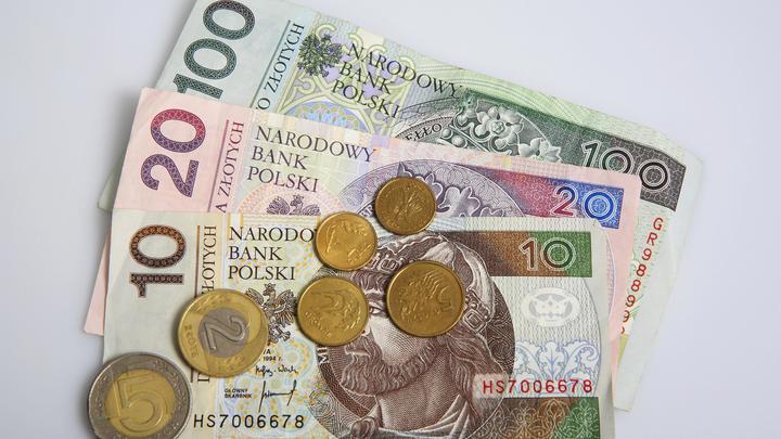 Польша обманула ЕС, но денег требует: Депутат Госдумы указал на признак развала Евросоюза