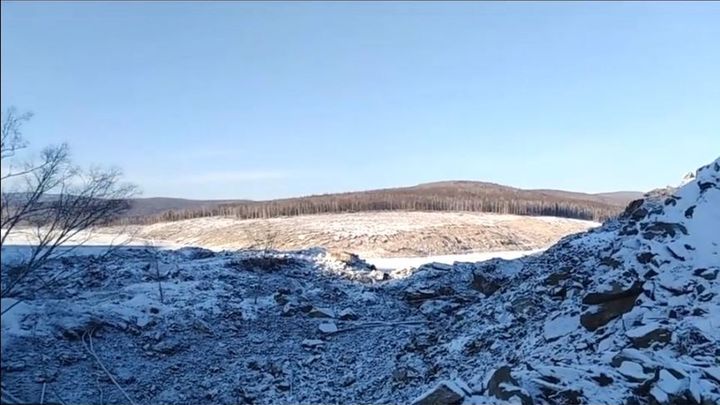 Не только вмешательство в выборы: Американцы обвинили Россию в великом вымирании живого
