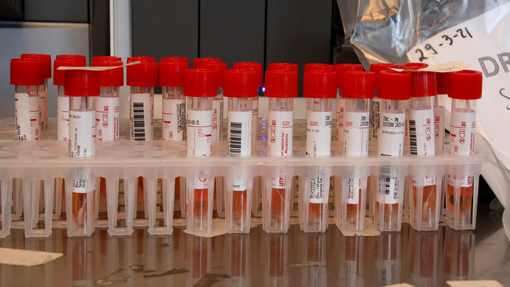 США на Украине создавали биооружие против славян: Минобороны России получило доказательства