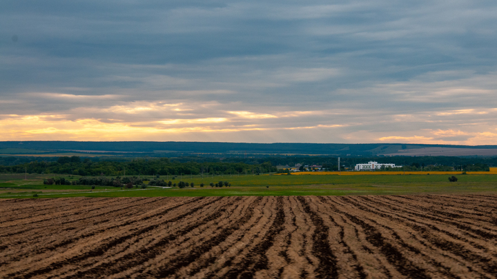 Народные приметы на 23 мая 2024: что можно и нельзя делать в Симонов день