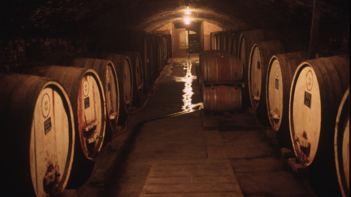 Коттедж в стиле лофт с винным погребом продают под Новосибирском за 22 млн рублей