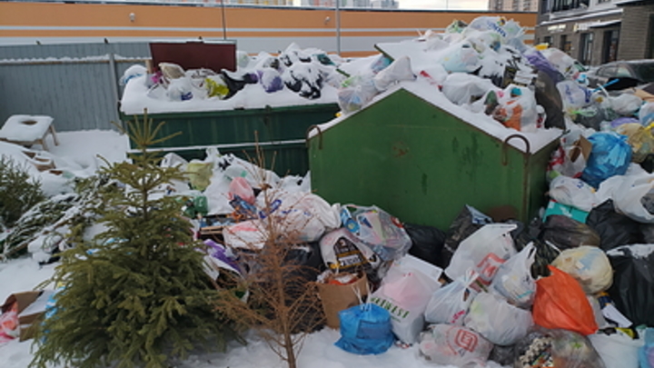 Петербург возглавил мусорный антирейтинг