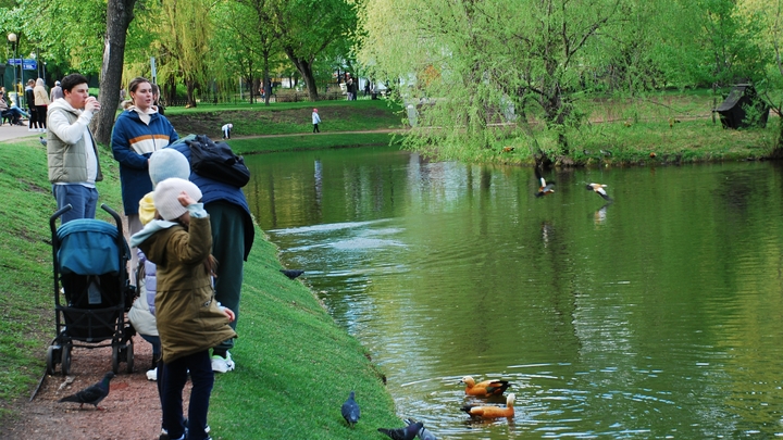 От скульптур до уютных аллей: Легендарный московский парк возрождают по архивным фото и чертежам