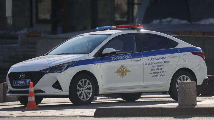 Военнослужащий устроил стрельбу из раритетного оружия в Петербурге: отделался протоколом