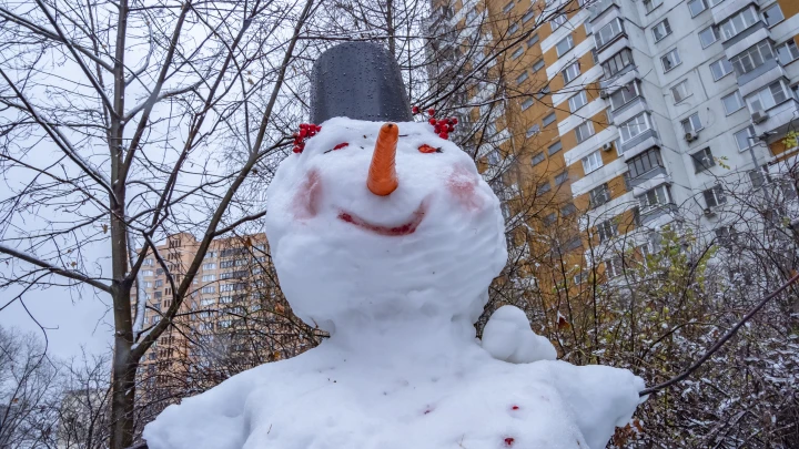 Синоптик: аномально холодной зимы в России в этом году не ожидается