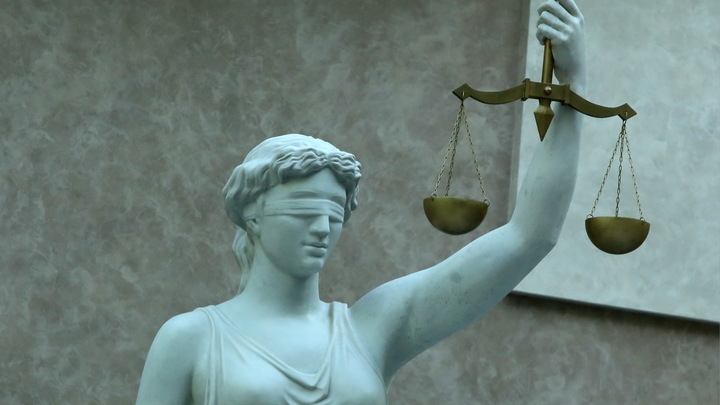 Хочу отрабатывать на МКС: уральский художник получил 39 часов обязательных работ за митинг