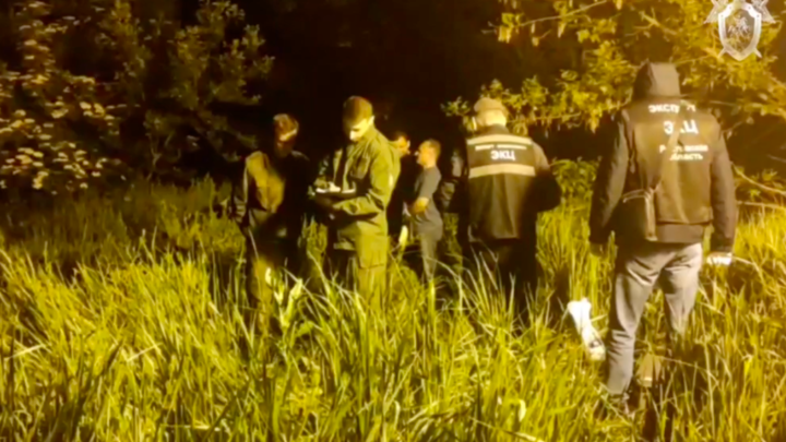 Водитель эвакуатора заманил к себе в машину. Стали известны подробности убийства восьмилетней девочки под Ростовом