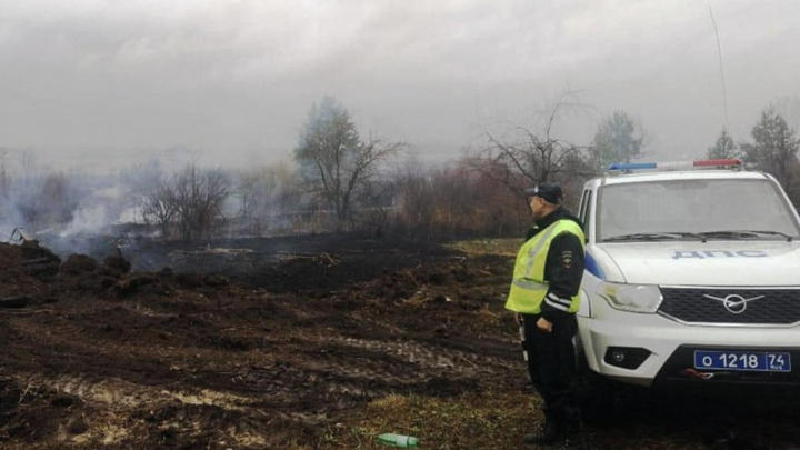 В Челябинской области возник ландшафтный пожар возле дачных участков
