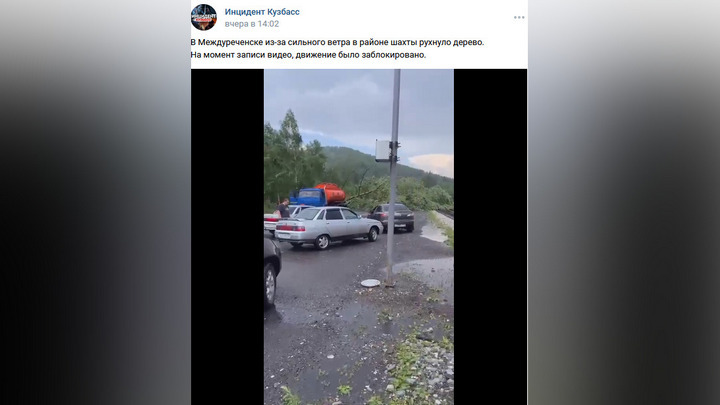 Упавшее дерево перегородило автодорогу в Междуреченске