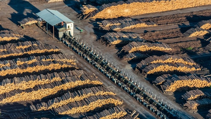 Европа - России: Вы должны отдать своё главное богатство