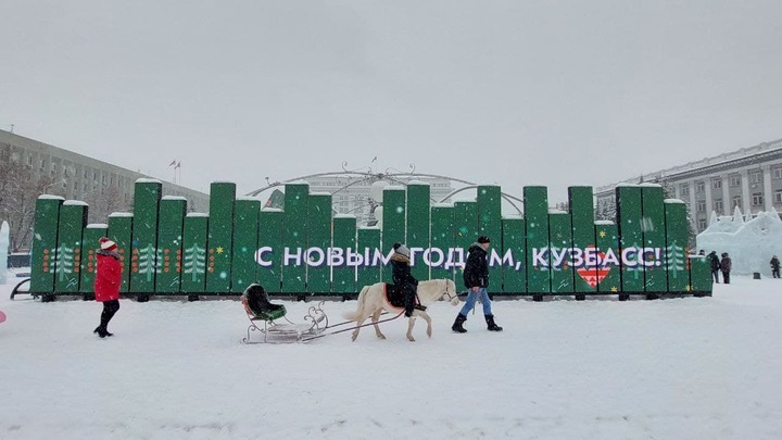 За украденного новогоднего оленя житель Топок может сесть на 2 года