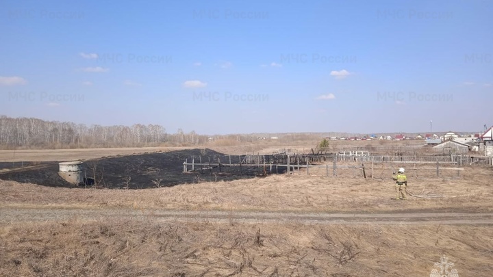 Жительница Новосибирской области чуть не спалила село по неосторожности