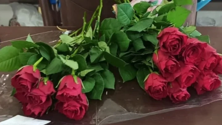 В Румынии не стало популярной молодой исполнительницы Chica Con Canna