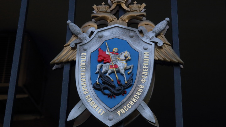 В Петербурге после падения лепнины на двухлетнего ребенка заведено уголовное дело