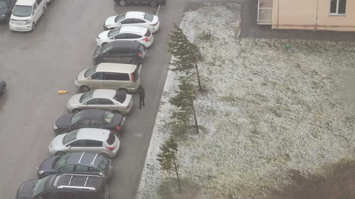 Синоптики уточнили прогноз погоды на неделю с 20 по 26 ноября в Новосибирске