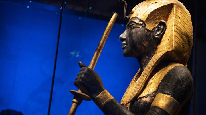 Она кем ему приходится?: Зал не удержался от хохота после личной истории Норкина