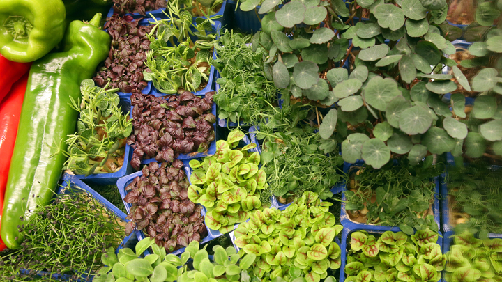 Овощи помогают сбросить вес? Специалисты развеяли популярный миф