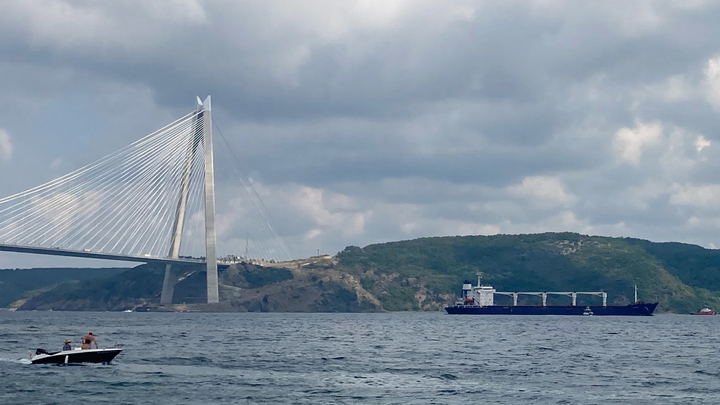 Украинское зерно простаивает в море: Покупатель отказался от заказа