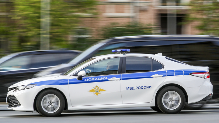 Мужчина застрелил собаку в подъезде на Ветеранов