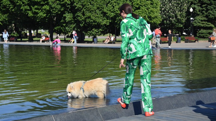 Как пережить жару. Врачи раскрывают простые правила