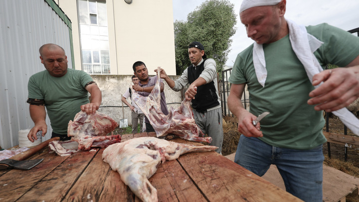 В Новосибирской области осудили банду из 9 мясников
