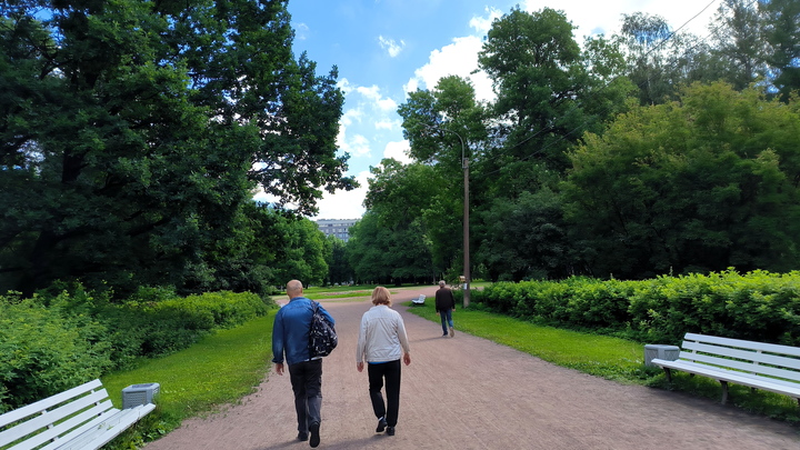В Петербурге разобьют парк рядом с судебным кварталом