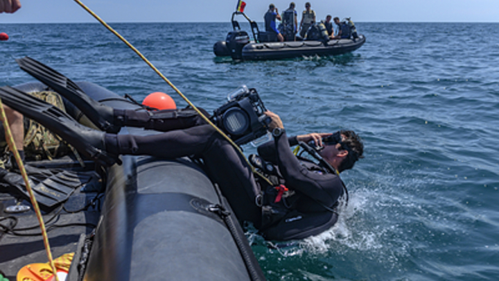 NYP: ученые проверили акул у берегов Флориды на зависимость от контрабандного кокаина