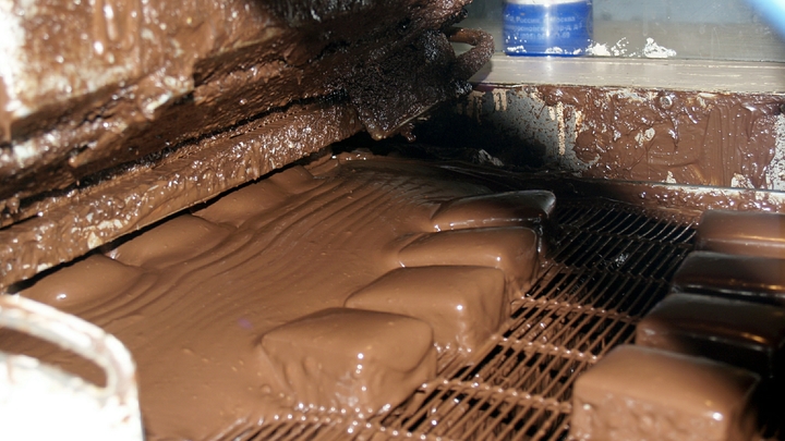 Русские останутся без шоколада: что происходит с ценами и сырьем на какао-бобы