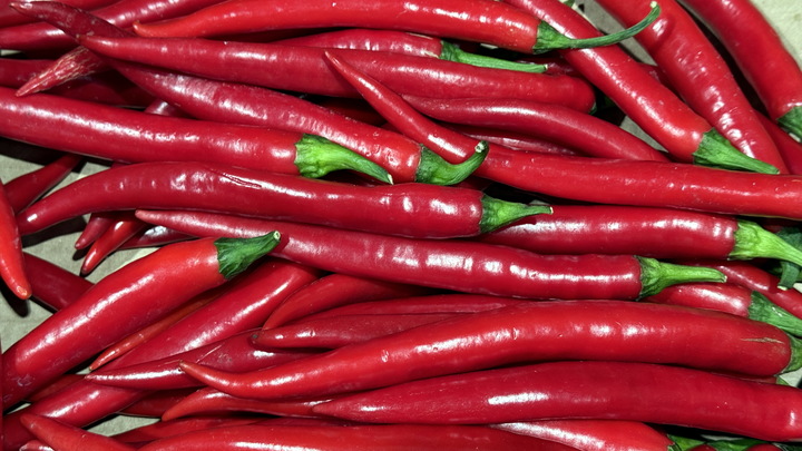 Вредна ли острая еда? Диетолог развеяла предубеждения относительно чили и халапеньо