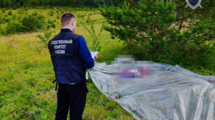 Задержан подозреваемый в убийстве пожилой женщины в лесу Починковского района