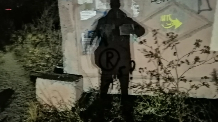 Мигрант-педофил напоил 14-летнюю школьницу и завёл в кусты